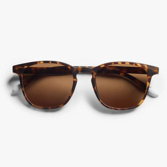 Dalston sólgleraugu Tortoise