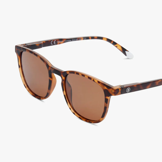 Dalston sólgleraugu Tortoise